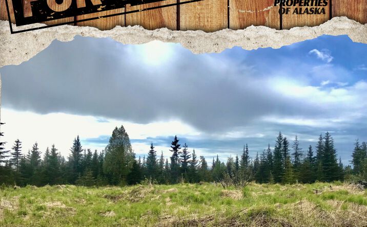Pictures of Land property located at 67212 Homestead Rd, Ninilchik, AK 99639 for sales - image #1