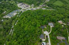 23879494