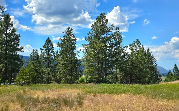 Pictures of Land property located at Lot 9 Riverview Terrace, Plains, MT 59859 for sales - image #1