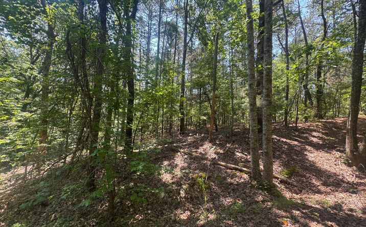Pictures of Land, Special Purpose property located at 154 Oak Grove Road, Middleton, TN 38052 for sales - image #1