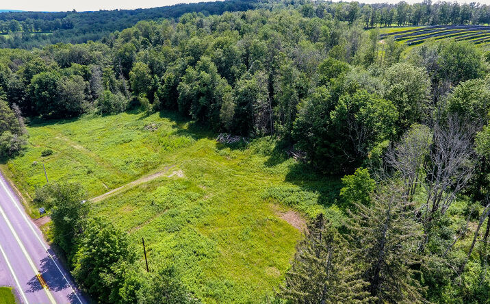 Pictures of Land property located at 1283 Old Rte 17, Harris, NY 12734 for sales - image #1