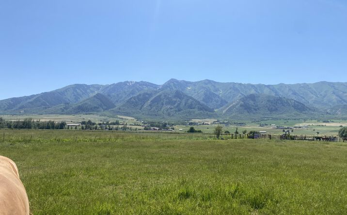 Pictures of Land property located at 4798 W 2900 S, Mendon, UT 84325 for sales - image #1