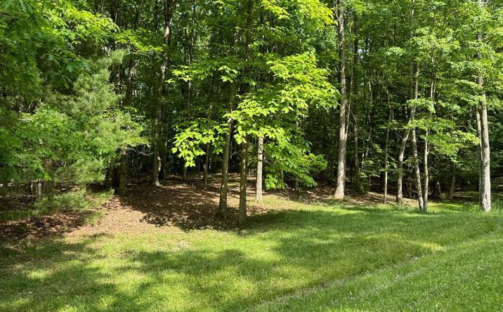 Pictures of Land property located at 108 Mountain Laurel Road, Daniels, WV 25832 for sales - image #1