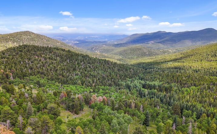 Pictures of Land property located at 3665 Beaver Brook Canyon Rd, Evergreen, CO 80439 for sales - image #1