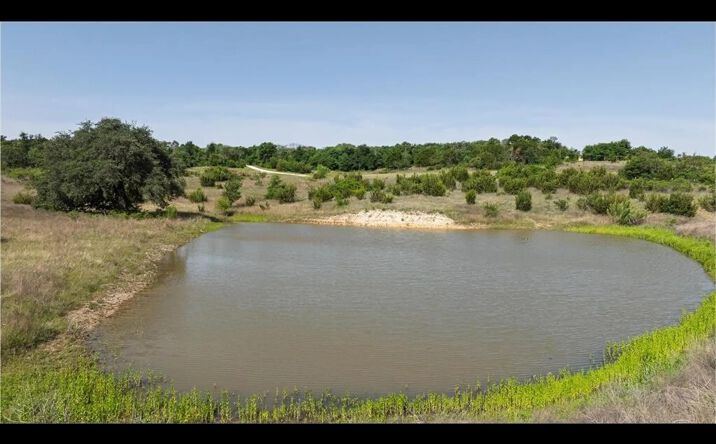Pictures of Land property located at 5300 CR 132, Morgan Mill, TX 76465 for sales - image #1