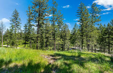 23898239