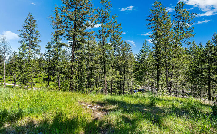 Pictures of Land property located at 394 Windsor Court, Bigfork, MT 59911 for sales - image #1