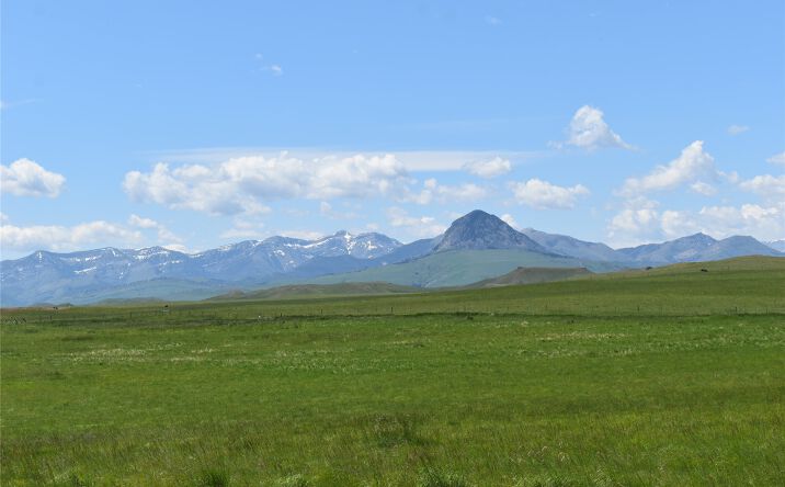 Pictures of Land property located at 1268 Whoop Up Trail, Augusta, MT 59410 for sales - image #1