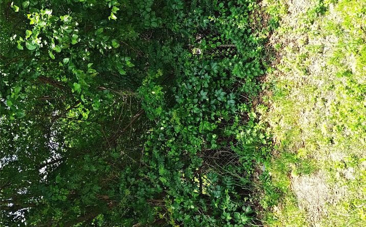 Pictures of Land property located at 105 Gray Avenue, Brookhaven, NY 11763 for sales - image #1