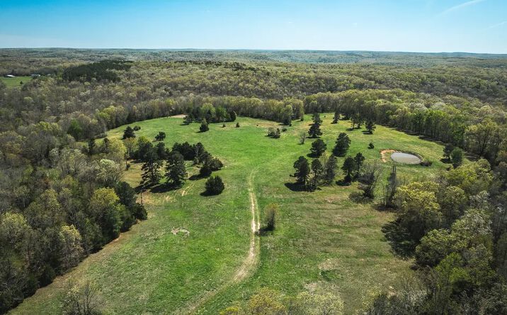 Pictures of Land property located at 000 Forest Service Rd, Beulah, MO 65436 for sales - image #1