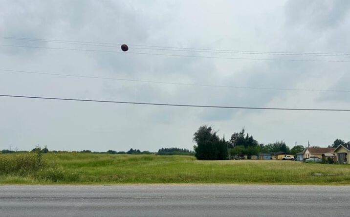 Pictures of Land, Multifamily property located at 0 Old Alice Rd., Los Fresnos, TX 78586 for sales - image #1