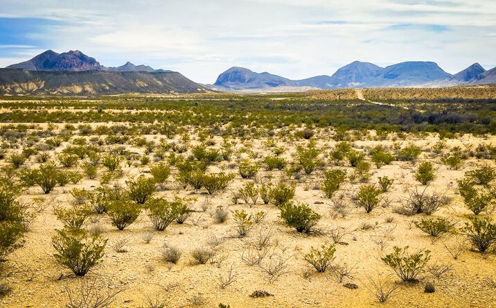 Pictures of Land property located at 14427 Lavaca Ave, Terlingua, TX 79830 for sales - image #1