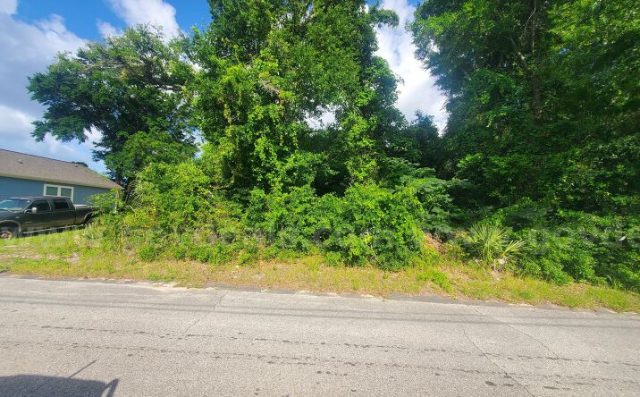 Pictures of Land property located at Colonel Ave, Webster, FL 33597, 6258 W Riverbend Rd, Dunnellon, FL 34433, 18415 Hillsborough Blvd, Port Charlotte, FL 33954, 1221 E Rhapsody Ln, Hernando, FL 34442, 661 Allen Ave, Panama City, FL 32401 for sales - image #1