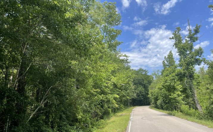 Pictures of Land property located at 0 Foster Road, Sumrall, MS 39482 for sales - image #1