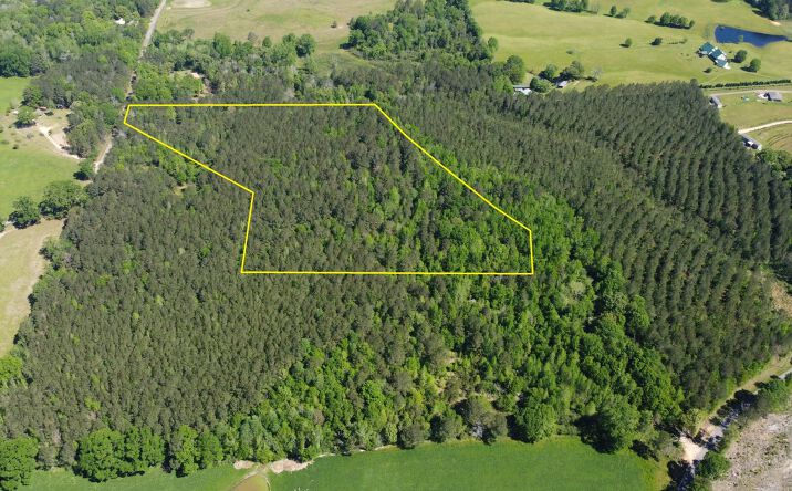 Pictures of Land property located at 00 Pete Fields Road, Sumrall, MS 39482 for sales - image #1