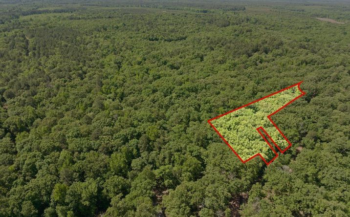 Pictures of Land property located at 307 Fish Trap, Naples, TX 75568 for sales - image #1