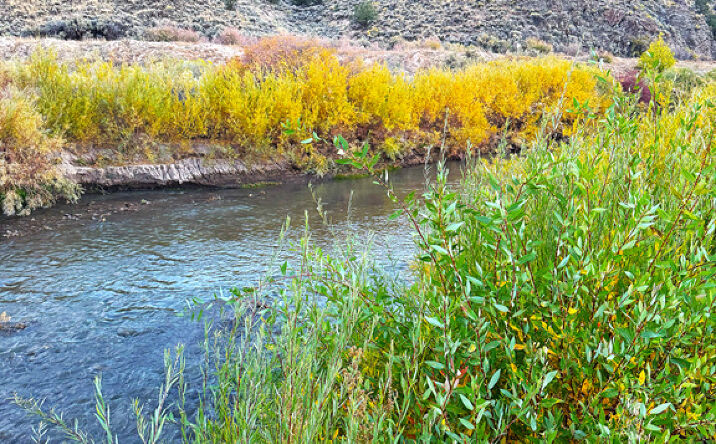 Pictures of Land property located at 17888 Outlaw South Rd, Panguitch, UT 84759 for sales - image #1