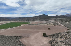 23914146
