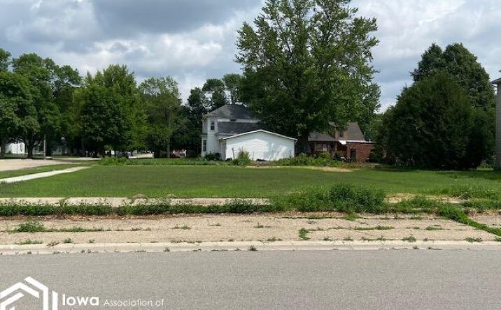 Pictures of Land, Special Purpose property located at 106 3Rd Street SE, Britt, IA 50423 for sales - image #1