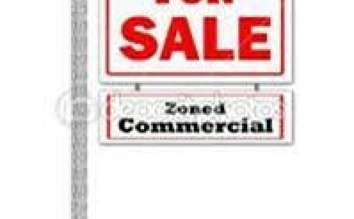 Pictures of Land, Mixed Use property located at 0 E St. Rd. 10, DeMotte, IN 46310 for sales - image #1