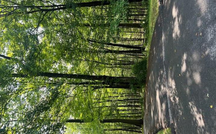 Pictures of Land property located at 7 Vincent Lane, North Castle, NY 10504 for sales - image #1