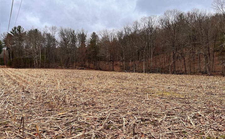 Pictures of Land property located at 00 state route 97 Route, Cochecton, NY 12726 for sales - image #1