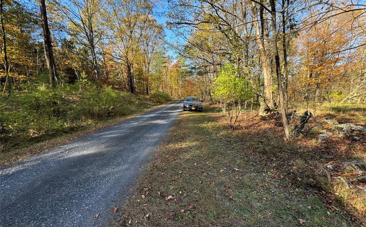Pictures of Land property located at 70 & 76 Joseph Lane, Cairo, NY 12058 for sales - image #1