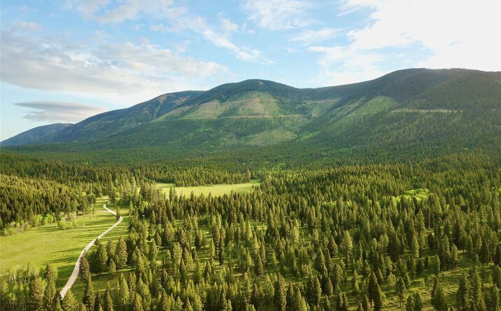 Pictures of Land property located at 0 Patterson Prairie Road, Helmville, MT 59843 for sales - image #1