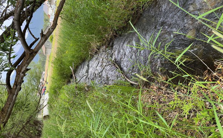 Pictures of Land property located at NHN Mystic River Road, Stevensville, MT 59870 for sales - image #1