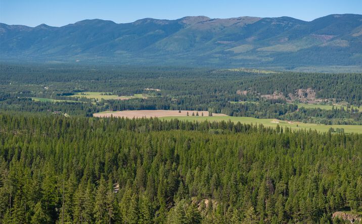 Pictures of Land property located at TBD Greenstone Ranch Road Lot 23 PH3, Whitefish, MT 59937 for sales - image #1