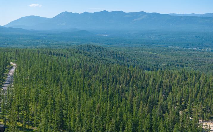 Pictures of Land property located at TBD Lodgepole Ranch Road Lot 20 PH3, Whitefish, MT 59937 for sales - image #1