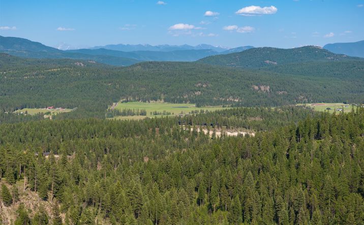 Pictures of Land property located at TBD Skyline Ridge Ranch Road Lot 22 PH3, Whitefish, MT 59937 for sales - image #1