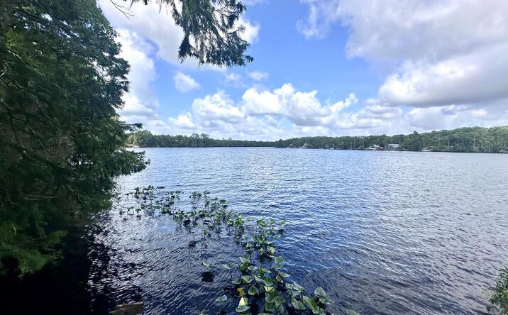 Pictures of Land property located at NW 93rd Ln, Chiefland, FL 32626 for sales - image #1