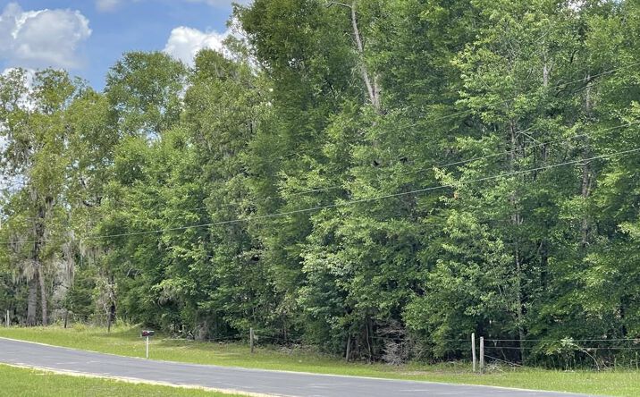 Pictures of Land property located at TBD NE 58th Ter, High Springs, FL 32643 for sales - image #1