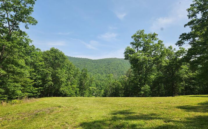 Pictures of Land property located at 0 Dry Fork Road, Rocky Gap, VA 24366 for sales - image #1