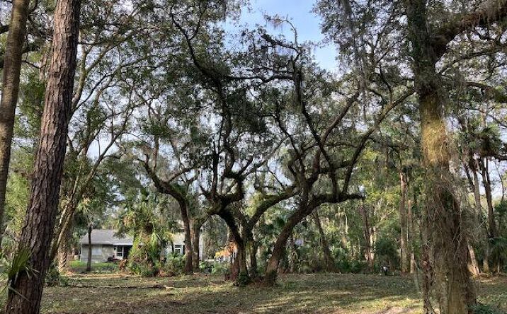 Pictures of Land property located at 1644 Shell Harbor Road, Pierson, FL 32180 for sales - image #1