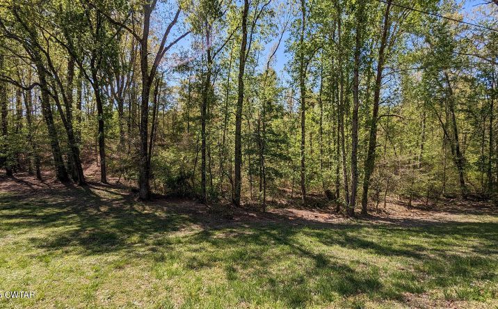 Pictures of Land property located at 0 TN-100 E, Henderson, TN 38340 for sales - image #1