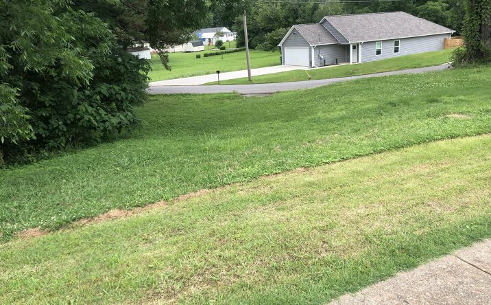 Pictures of Land property located at 3036 N Main Street, Milan, TN 38358 for sales - image #1