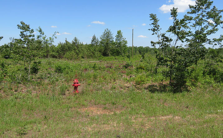 Pictures of Land property located at 0 Ebenezer Road, Ellaville, GA 31806 for sales - image #1