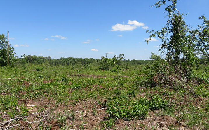 Pictures of Land property located at 2 Goolsby Road, Ellaville, GA 31806 for sales - image #1