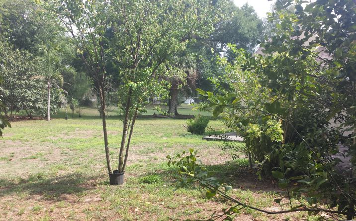 Pictures of Land property located at SE Corner Highway 301 and Rhodine, Riverview, FL 33578 for sales - image #1