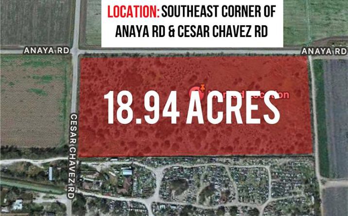 Pictures of Land property located at Anaya Road, Alamo, TX 78516 for sales - image #1