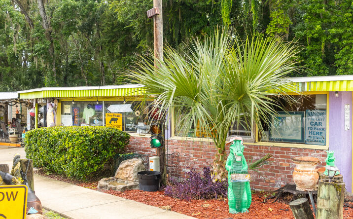 Pictures of Mixed Use, Special Purpose property located at 217 Butler Dr, Satsuma, FL 32189 for sales - image #1