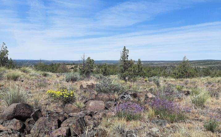 Pictures of Land property located at TL4800 SE Weatherby Loop, Prineville, OR 97754 for sales - image #1