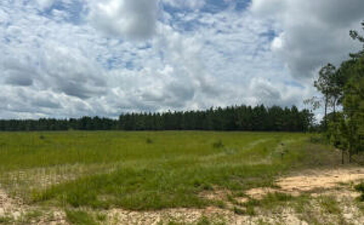 Pictures of Land property located at 00/Tbd Snipes Pond Rd, Aiken, SC 29805 for sales - image #1