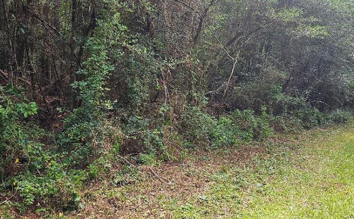Pictures of Land property located at Lot 150 Glendale Drive, Lumberton, MS 39455 for sales - image #1