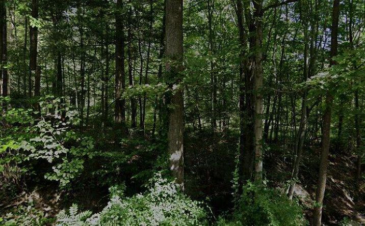 Pictures of Land property located at 1009 N Mountain Road, Gardiner, NY 12525 for sales - image #1