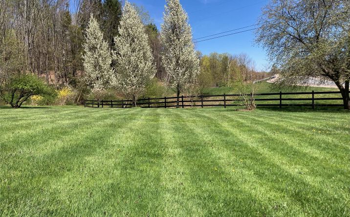Pictures of Land, Special Purpose property located at California Avenue, Liberty, NY 12754 for sales - image #1