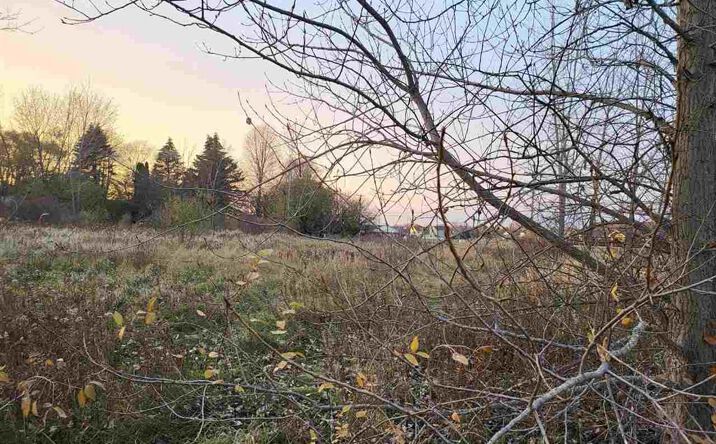 Pictures of Land property located at TBD Broomfield Street, Mt Pleasant, MI 48858 for sales - image #1