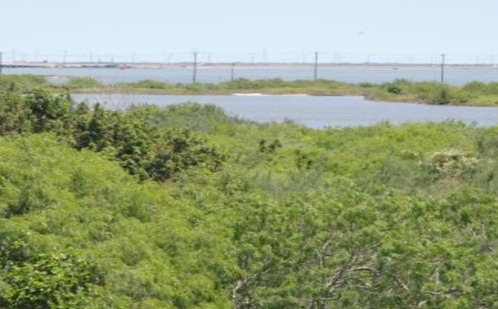Pictures of Land property located at 2041 Waldron Rd, Corpus Christi, TX 78418 for sales - image #1